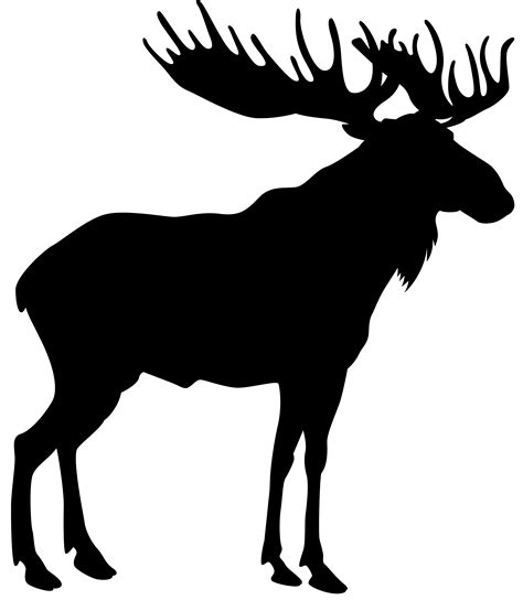 Moose Stock Photography Royalty Free Vector Graphics Stock Illustration