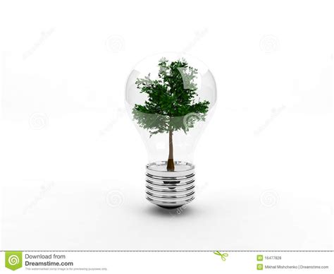 Tree Inside Light Bulb Royalty Free Stock Photos Image