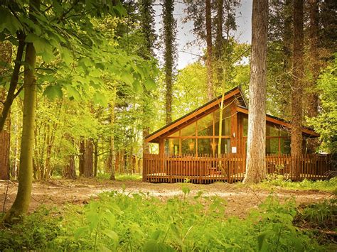 Incredible And Outstanding Forest Wood Cabins Ideas Interior Vogue