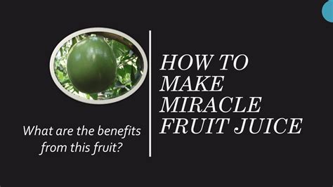 How To Make Miracle Fruit Juice And Its Benefits Youtube