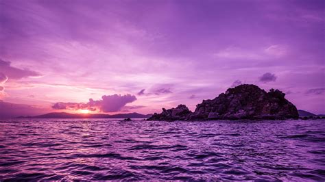 Wallpaper Pelican Island Sunset Purple Travel 11982