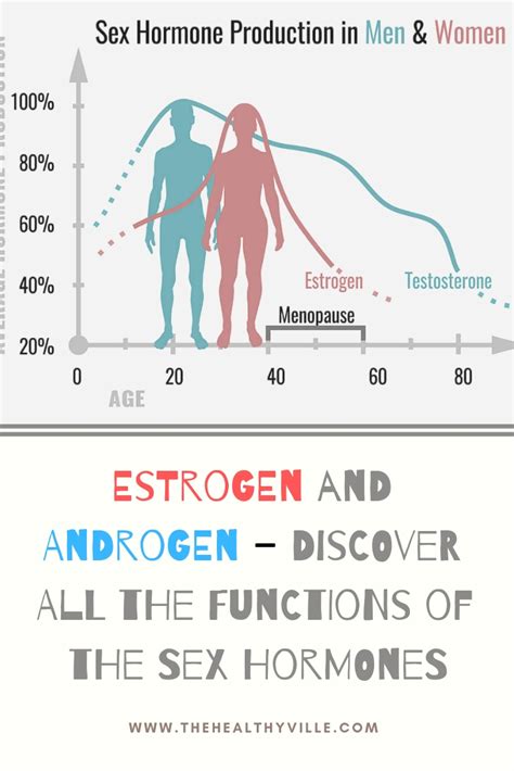 Estrogen And Androgen Discover All The Functions Of The Sex Hormones Hot Sex Picture