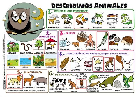 Describir Animales Actiludis Varios Formatos Spanish Teaching