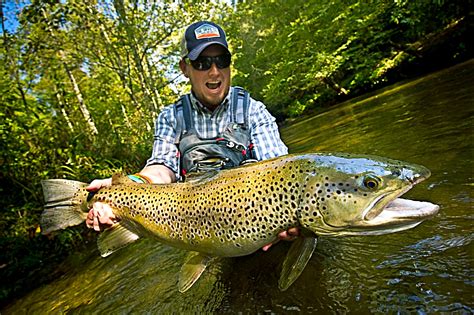 Photo Picketts Large Brown Trout Orvis News