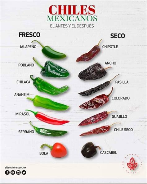 Tipos De Chiles Recetas De Comida Mexicana Chile Mexicano Recetas