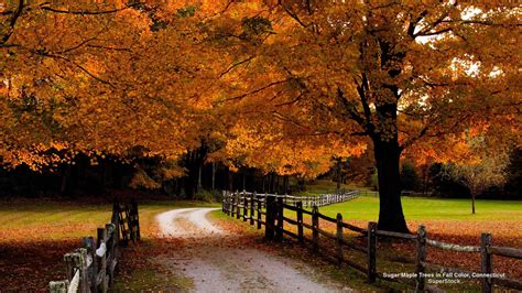 Autumn New England Wallpapers Wallpaper Cave