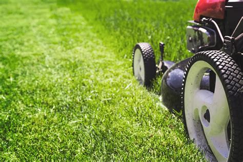 The Best Way To Mow Your Lawn According To A Golf Course