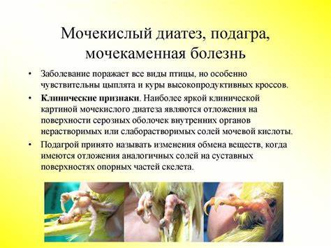 Диатез диета ребенок