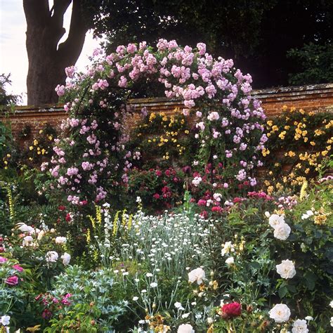 Mottisfont Abbey Rose Gardens Hampshire Uk The Best Ro Flickr