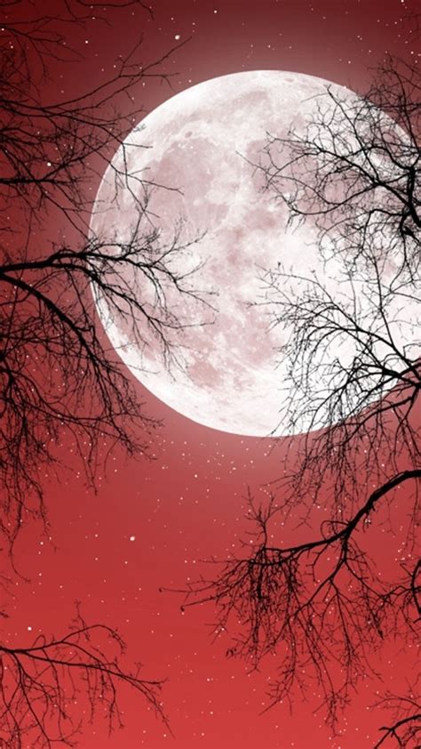 Red Moon Wallpaper 62 Pictures