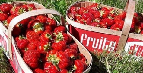 Some examples include dot net park most walk in clinics offer dot physicals which will get you a card if you pass the physical.most are good for 2 years unless you are on certain med's which may subject. The must-visit farms for strawberry picking near Toronto ...