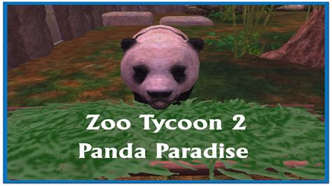 Zoo Tycoon 2 Lets Play Panda Paradise Episode 7 Youtube