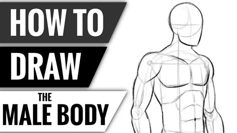 How To Draw The Male Body Economicsprogress5