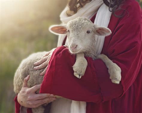 To Christians Jesus Christ Is The Lamb Of God The Daily Courier