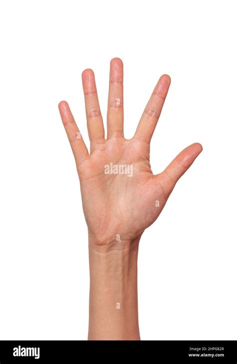 Open Hand Showing Five Fingers Hi Res Stock Photography And Images Alamy