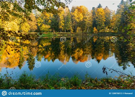 Fall Season Start Idyllic Lake Reflections Of Fall Foliage Colorful