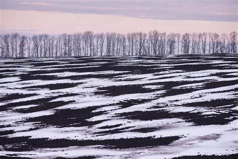 Late Winter Landscape In Ukraine With Some Snow Patches Spread Stock