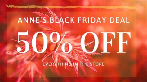 Black Friday Deals For Photographers 2019 Anne Mckinnell Photography