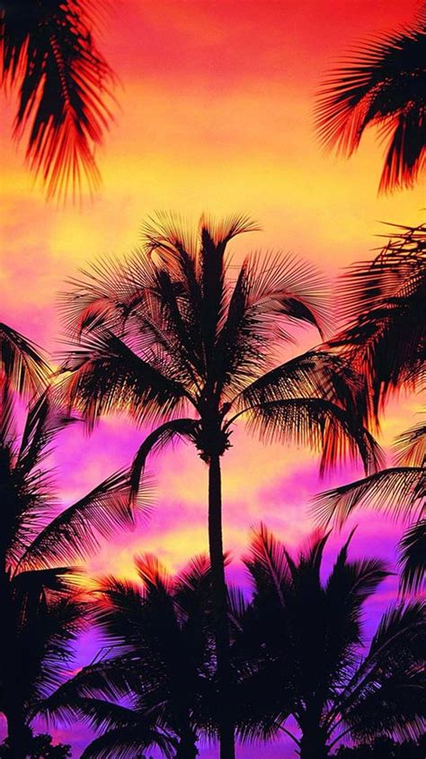 I Love Palm Trees Beach Wallpaper Summer Wallpaper Cute Wallpaper