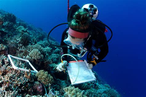 Cutting Edge Coral Reef Research By Living Oceans