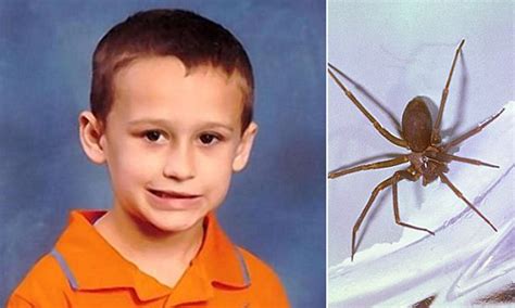Alabama Boy Dies Just Hours After Being Bitten By Poisonous Brown