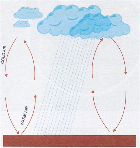 Draw A Well Labelled Diagram Showing Convectional Rainfall Knowledgeboat