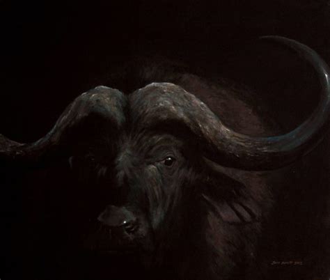 Buffalo In The Dark John Philip