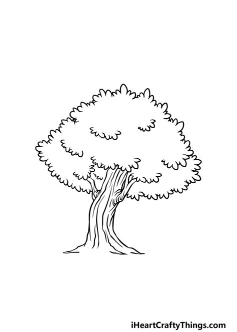 Oak Tree Drawing How To Draw An Oak Tree Step By Step