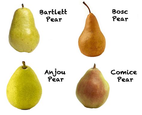 Van Whole Produce Blog Archive Pear