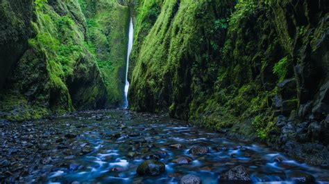 Oneonta Gorge Waterfall Oregon Wallpapers Hd Wallpapers Id 18711