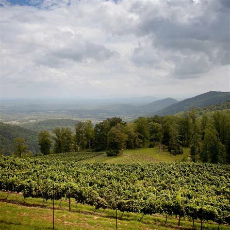 Virginia Wineries And Vineyards Southern Living
