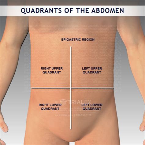 Quadrants Of The Abdomen Trialexhibits Inc