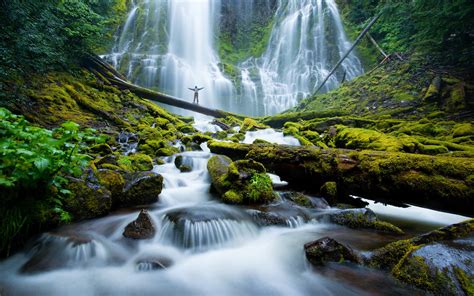 Proxy Falls Mckenzie River Waterfalls Eugene Cascades Oregon Usa
