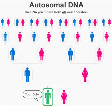 Best Dna Test Kits For Ancestry In 2021 What You Need To Know