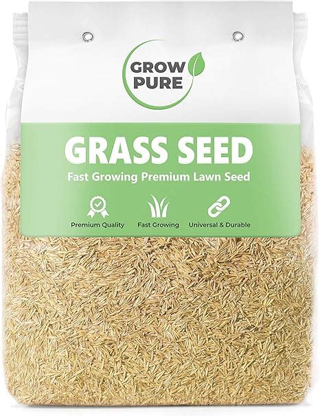 Grass Seed 1kg Covers Up To 60 Sqm Fast Growing Grass Seed For Quick