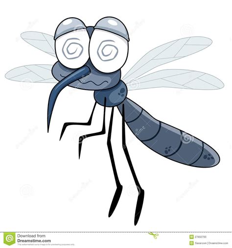 Illustration About Illustration Of Cartoon Mosquito On White