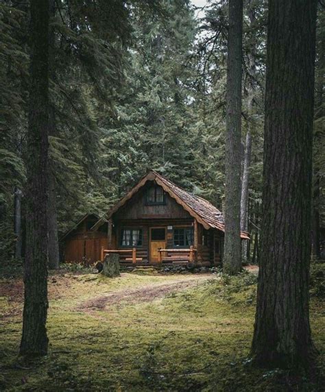 A Casa Na Floresta 😍 Cabins In The Woods Cabin Homes Rustic Log Cabin