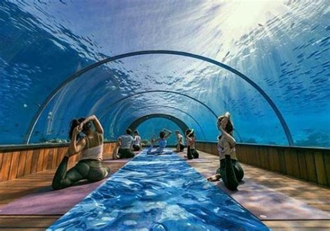 Best Of The Maldives Underwater Yoga Hurawalhi Maldives Complete Blog