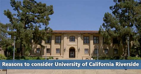 50 50 Profile University Of California Riverside Do It Yourself