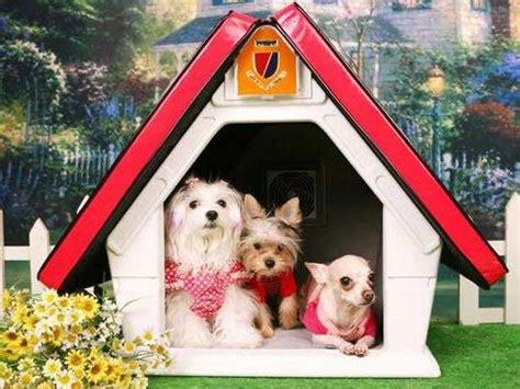 15 Amazing Dog Houses That Every Dog Owner Needs To See