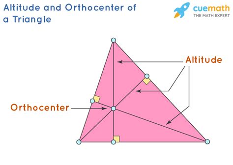 Does The Altitude Of An Equilateral Triangle Bisect The Base