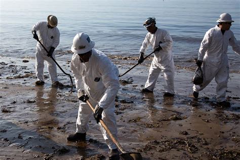 Kuwait Oil Spill Cleanup This Week Financial Tribune