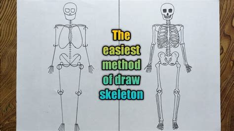 Human Bones Drawing