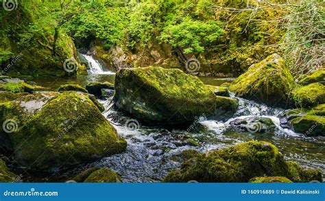 Stream Or Creek Flowing Between Mossy Rocks Water Autumn Ireland