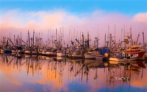 Fishing Boats Moored In Newport Oregon Hd Wallpapers