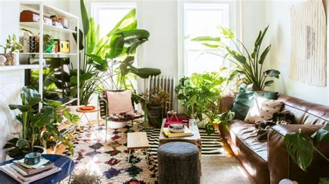 5 Eco Friendly Furniture Decorating Ideas 2023 Urban Farm Online