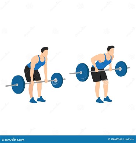 The Athlete Performs The Bent Over Barbell Rows From Floor Cartoon Vector Cartoondealer Com