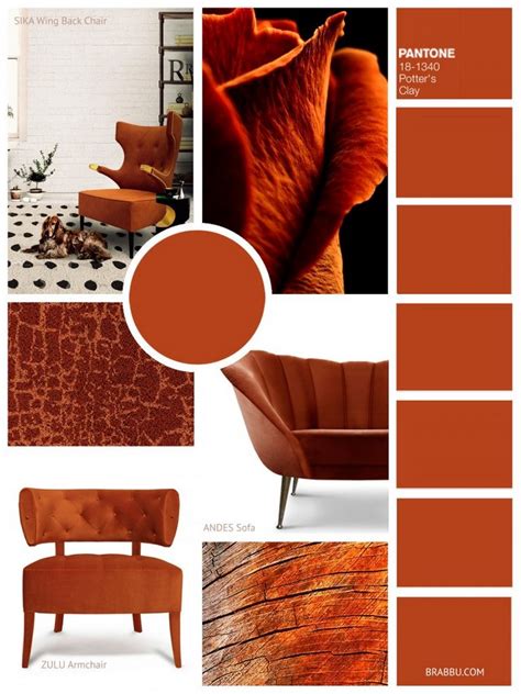 Best Moodboard Color Ideas According To Pantone For Interior Home