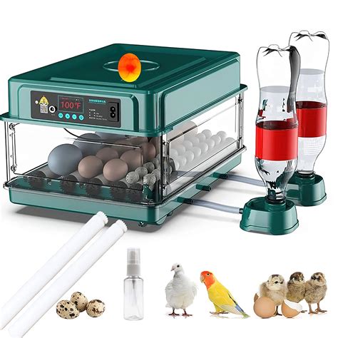 Automatic Intelligent Incubators For Hatching Eggs Upgrade