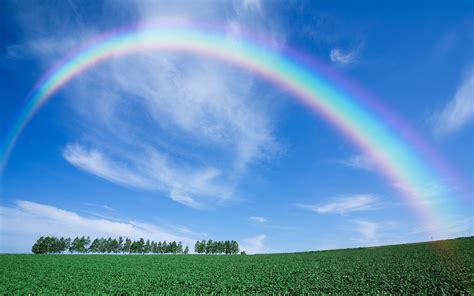 Rainbow Wallpapers Pictures Images